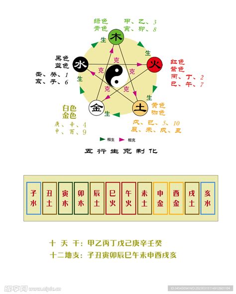 地支的五行|十二地支类象详解 – 十二地支阴阳五行属性